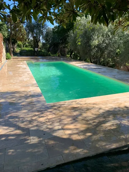 Piscine et plage travertin sous oliviers, photo 21 sur 25
