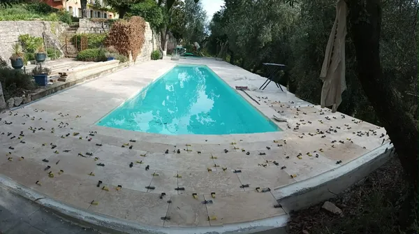 Piscine et plage travertin sous oliviers, photo 25 sur 25
